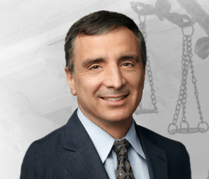 Michael E. Greenspan Attorney